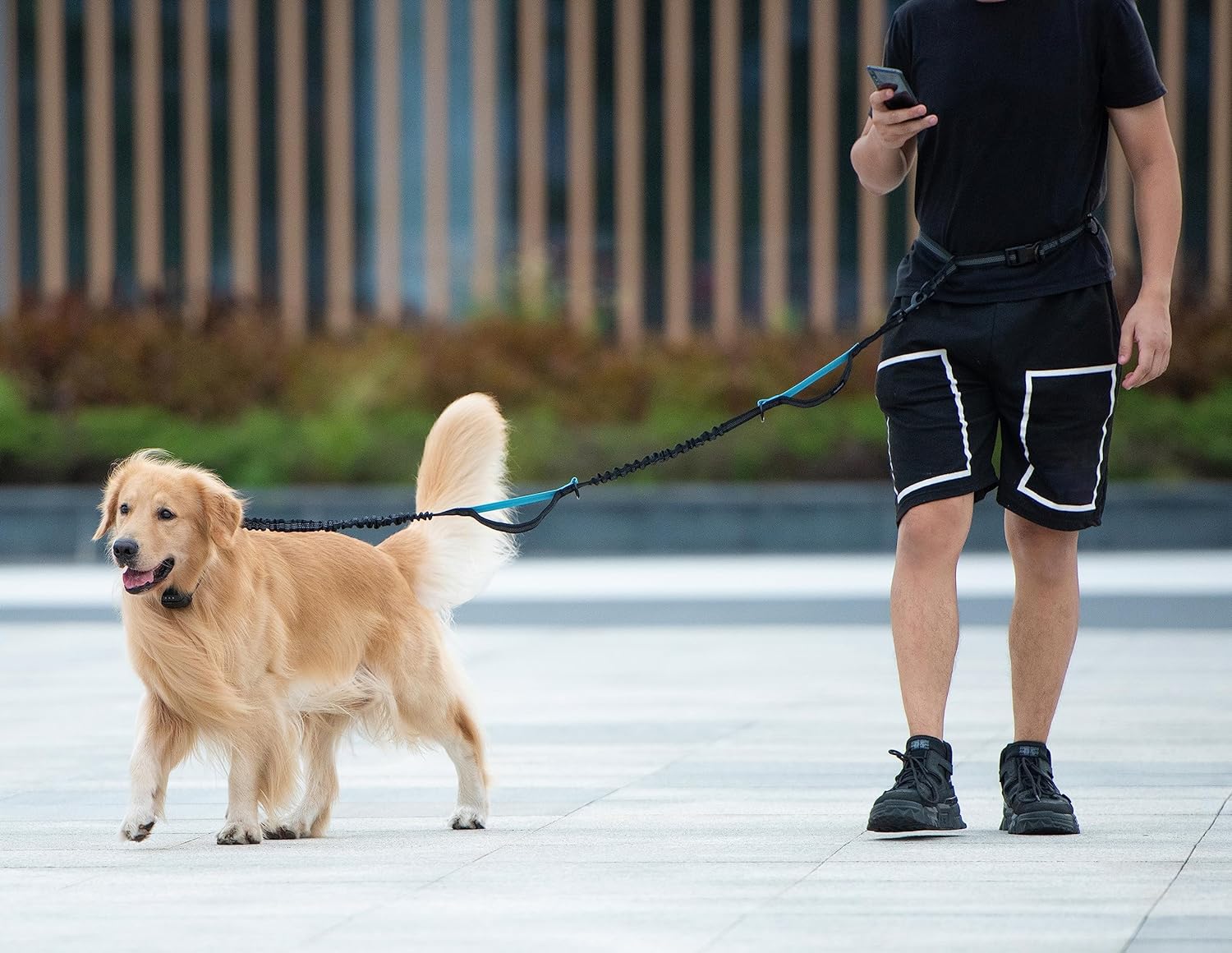 Hands Free Dog Leash with Zipper Pouch, Dual Padded Handles and Durable Bungee for Walking, Jogging and Running Your Dog (Large, 25-120 Lbs, Black)